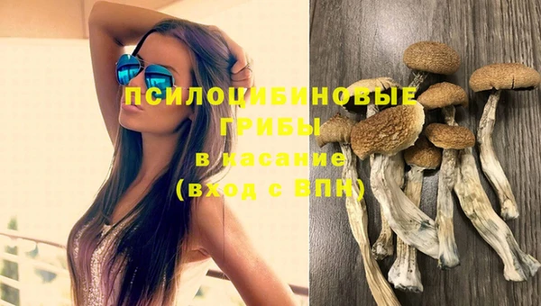 соль ск Арсеньев