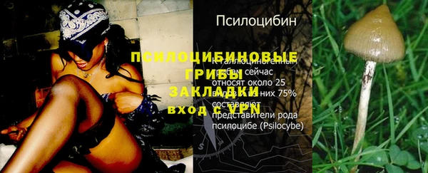 соль ск Арсеньев
