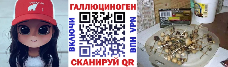 купить закладку  Солнечногорск  Псилоцибиновые грибы мухоморы 